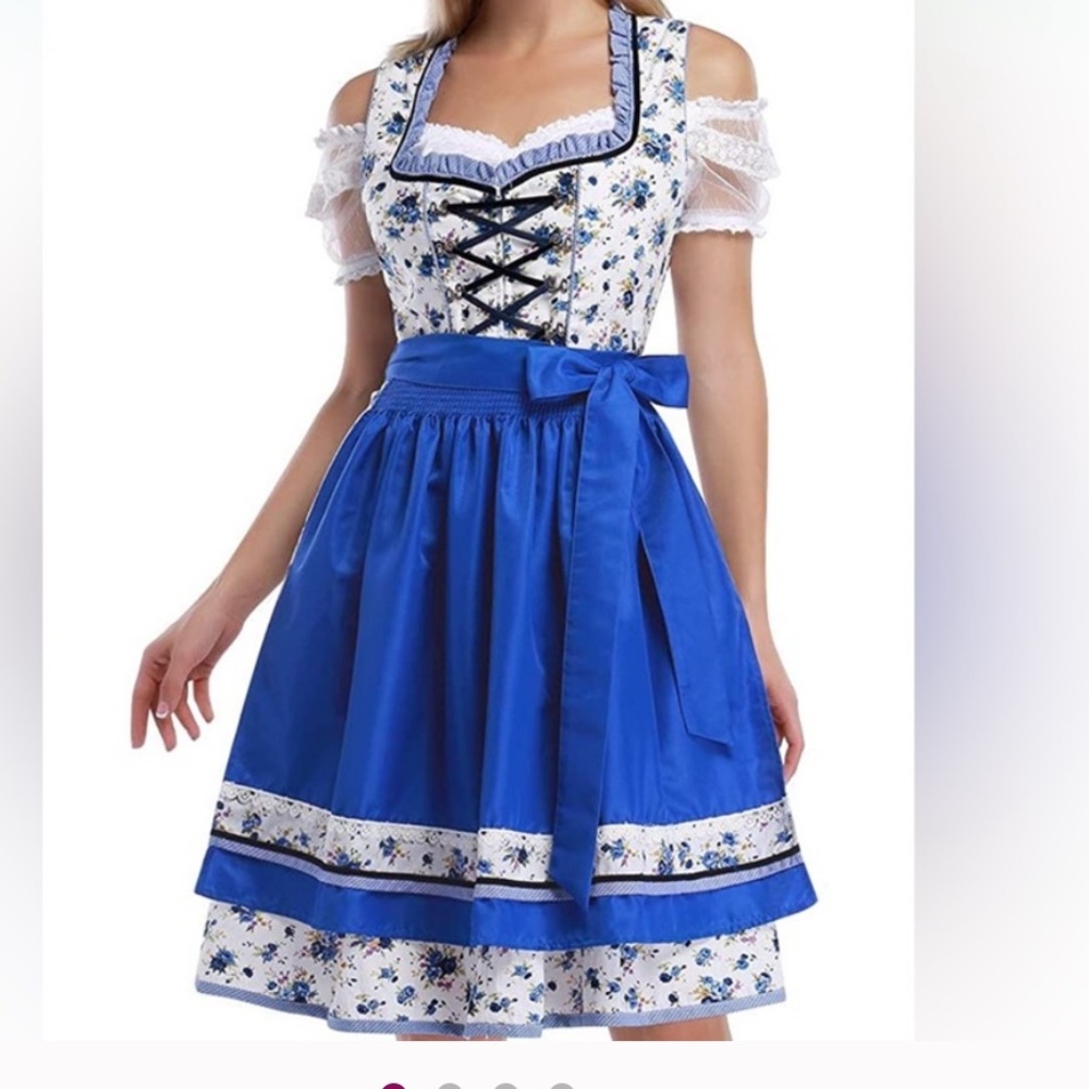 Blue Floral Dirndl Dress
